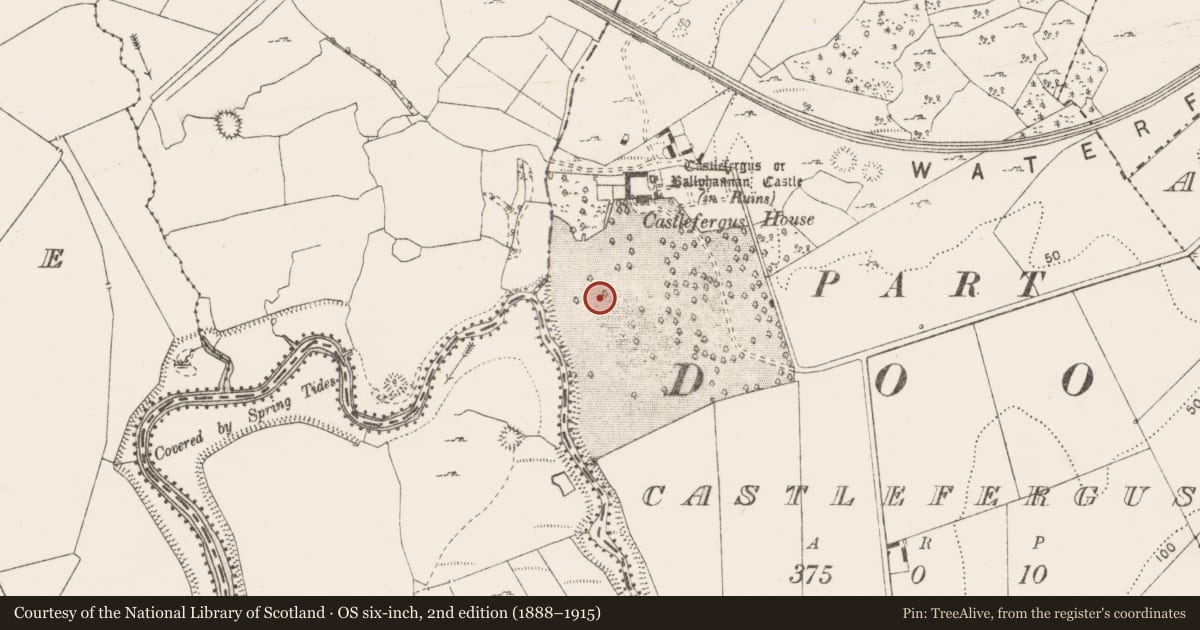 Ordnance Survey six-inch map, 2nd edition (1888–1915) covering the location of Enclosure, Castlefergus, County Clare, with a pin at the register's coordinates