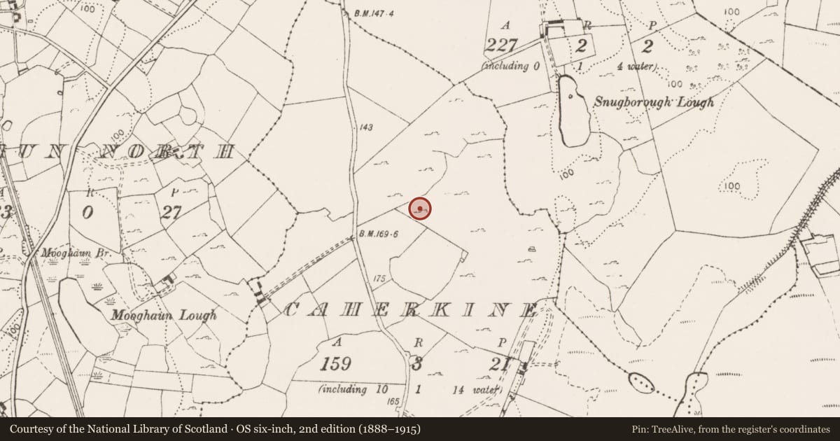Ordnance Survey six-inch map, 2nd edition (1888–1915) covering the location of Enclosure, Caherkine, County Clare, with a pin at the register's coordinates