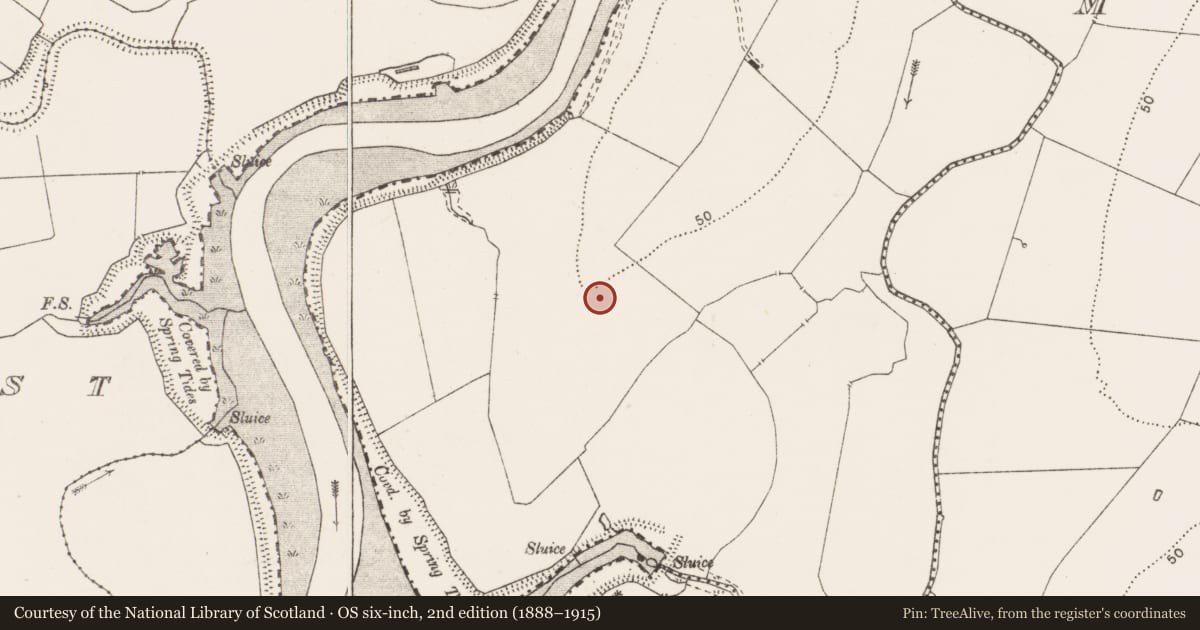 Ordnance Survey six-inch map, 2nd edition (1888–1915) covering the location of Enclosure, Carrownanelly, County Clare, with a pin at the register's coordinates