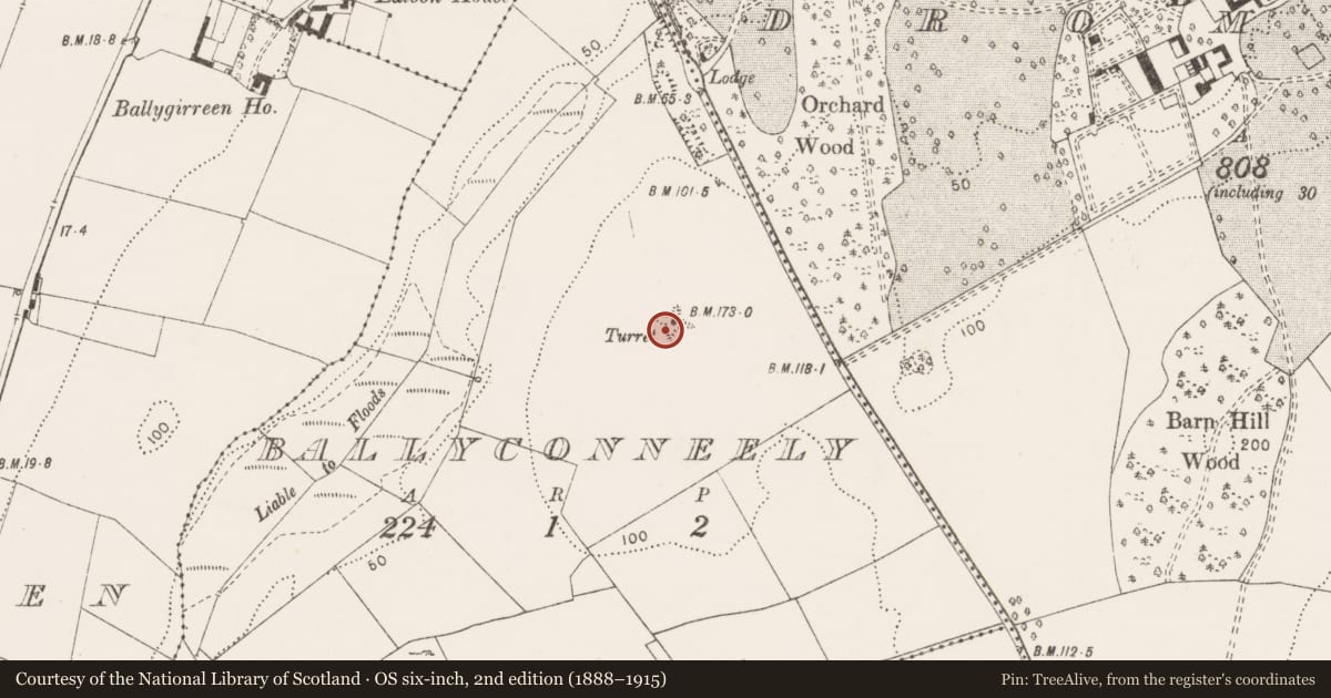 Ordnance Survey six-inch map, 2nd edition (1888–1915) covering the location of Designed landscape - belvedere, Ballyconneely, County Clare, with a pin at the register's coordinates