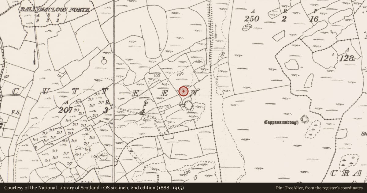 Ordnance Survey six-inch map, 2nd edition (1888–1915) covering the location of Enclosure, Cutteen, County Clare, with a pin at the register's coordinates