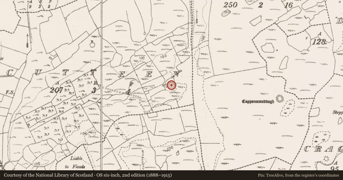 Ordnance Survey six-inch map, 2nd edition (1888–1915) covering the location of Enclosure, Cutteen, County Clare, with a pin at the register's coordinates