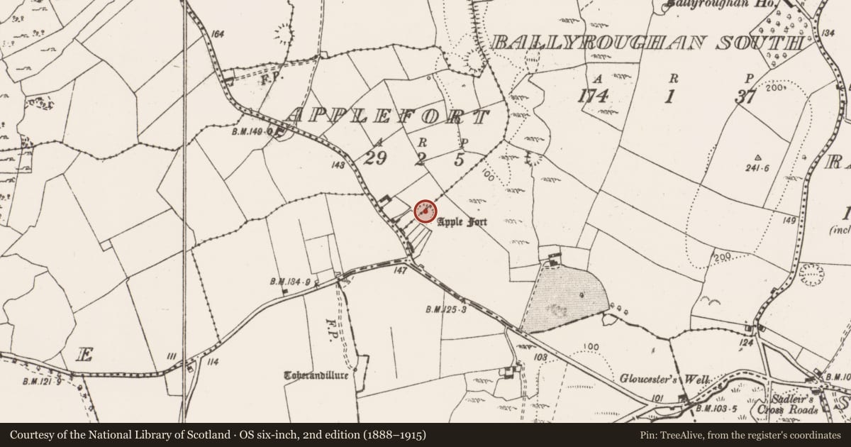 Ordnance Survey six-inch map, 2nd edition (1888–1915) covering the location of Enclosure, Applefort, Ballyroughan South, County Clare, with a pin at the register's coordinates