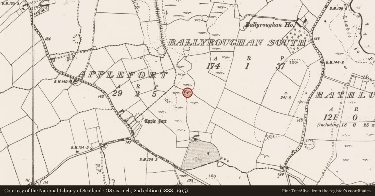 Ordnance Survey six-inch map, 2nd edition (1888–1915) covering the location of Enclosure, Ballyroughan South, County Clare, with a pin at the register's coordinates
