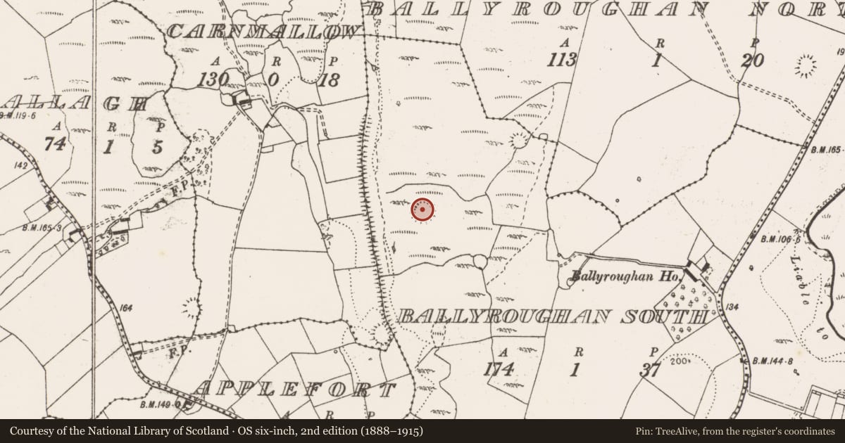 Ordnance Survey six-inch map, 2nd edition (1888–1915) covering the location of Enclosure, Ballyroughan South, County Clare, with a pin at the register's coordinates