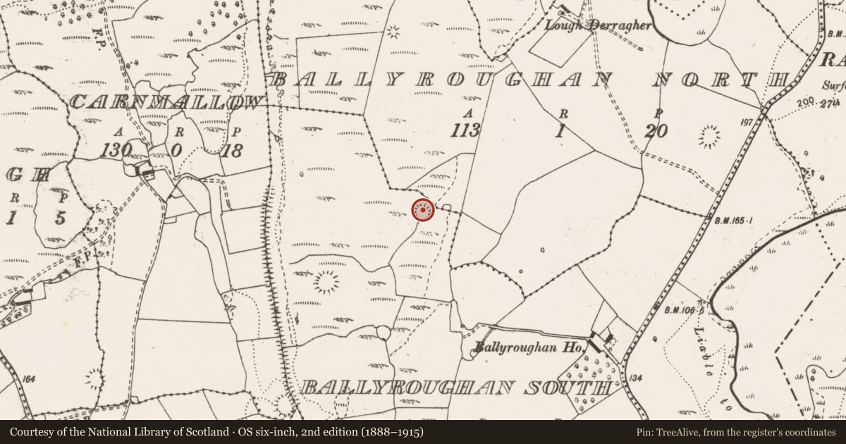 Ordnance Survey six-inch map, 2nd edition (1888–1915) covering the location of Enclosure, Ballyroughan South, County Clare, with a pin at the register's coordinates