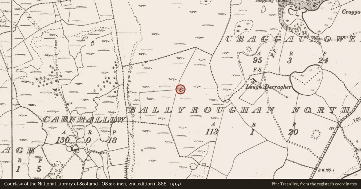 Ordnance Survey six-inch map, 2nd edition (1888–1915) covering the location of Enclosure, Ballyroughan North, County Clare, with a pin at the register's coordinates