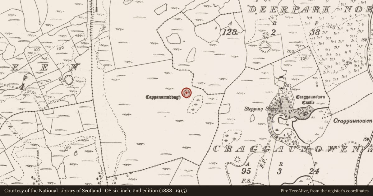 Ordnance Survey six-inch map, 2nd edition (1888–1915) covering the location of Enclosure, Cant, County Clare, with a pin at the register's coordinates
