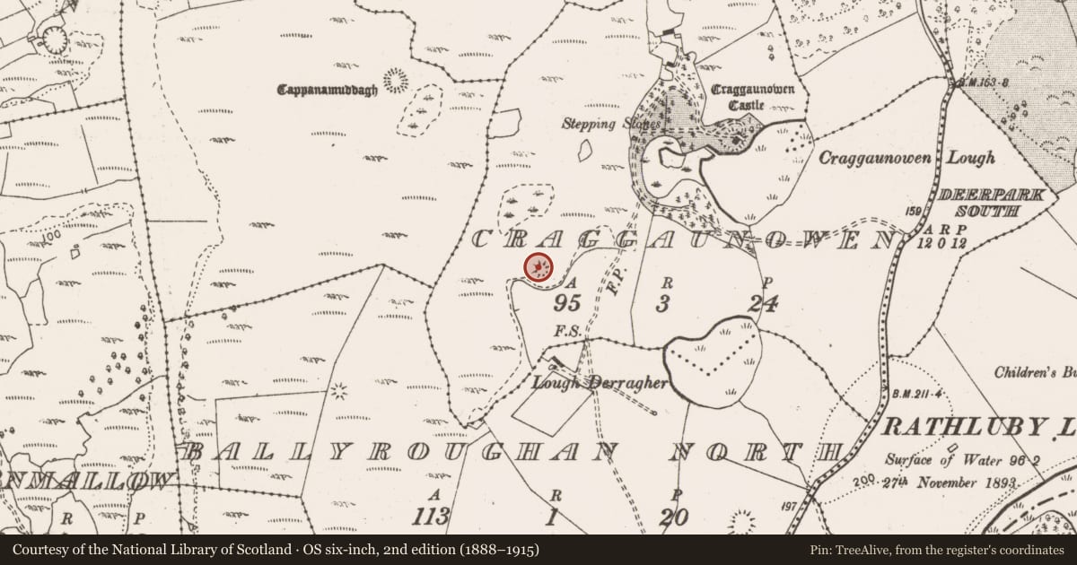 Ordnance Survey six-inch map, 2nd edition (1888–1915) covering the location of Enclosure, Craggaunowen, County Clare, with a pin at the register's coordinates