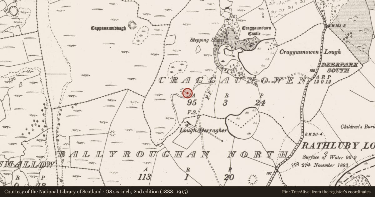 Ordnance Survey six-inch map, 2nd edition (1888–1915) covering the location of Enclosure, Craggaunowen, County Clare, with a pin at the register's coordinates