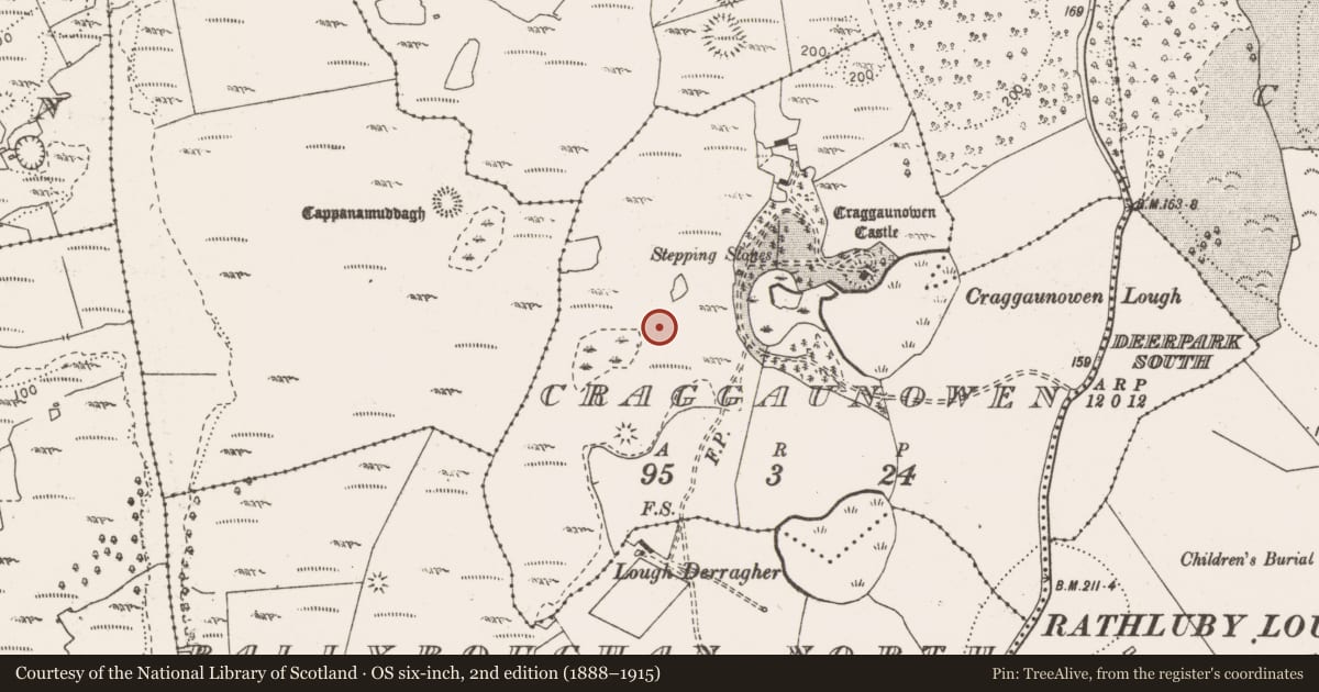 Ordnance Survey six-inch map, 2nd edition (1888–1915) covering the location of Megalithic tomb - wedge tomb, Craggaunowen, County Clare, with a pin at the register's coordinates