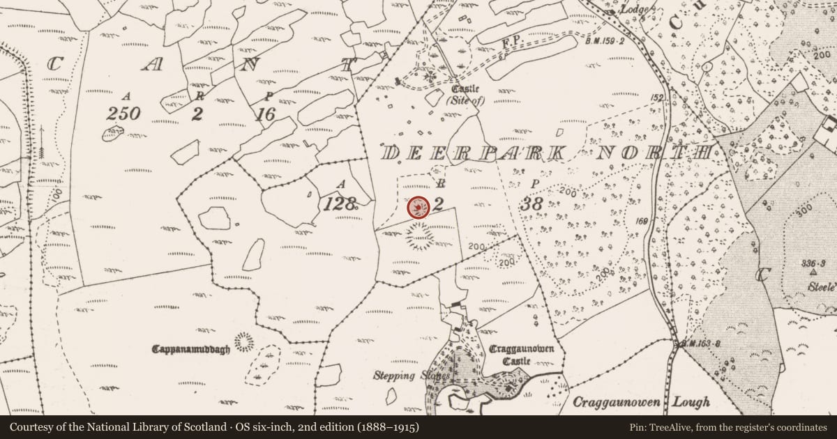 Ordnance Survey six-inch map, 2nd edition (1888–1915) covering the location of Enclosure, Deerpark North, County Clare, with a pin at the register's coordinates