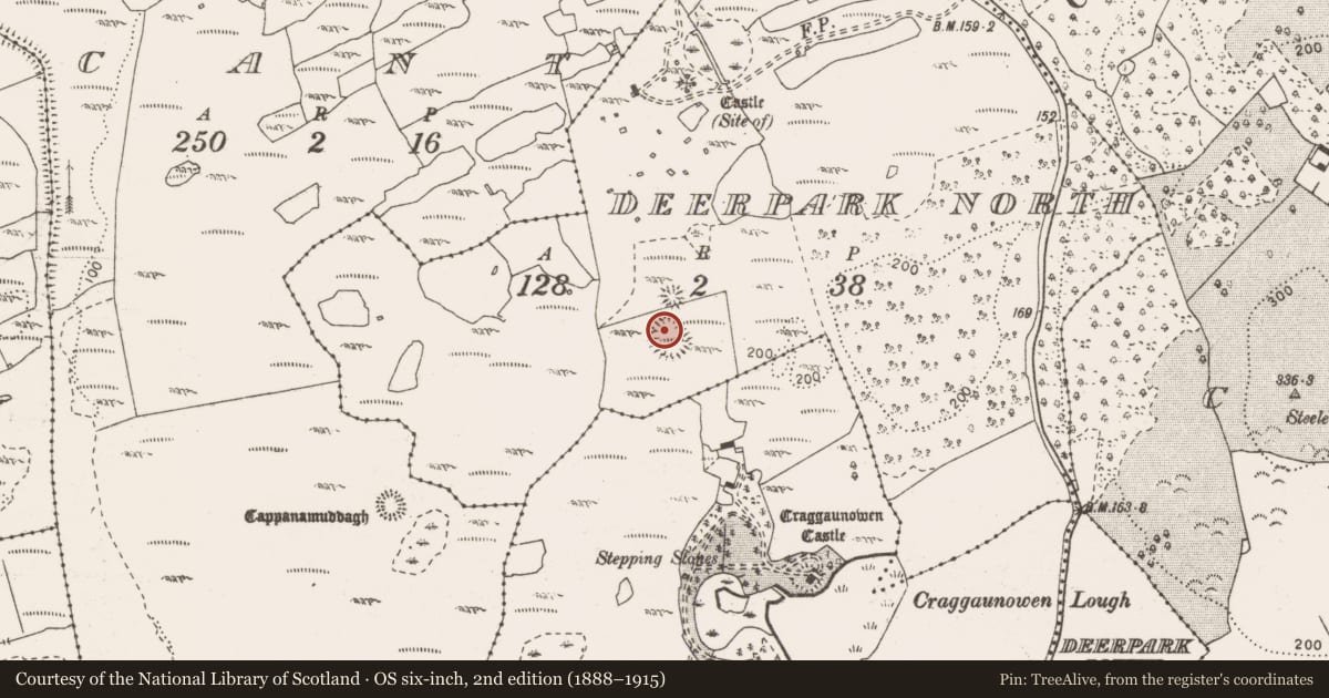 Ordnance Survey six-inch map, 2nd edition (1888–1915) covering the location of Enclosure, Deerpark North, County Clare, with a pin at the register's coordinates