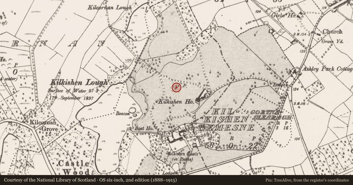 Ordnance Survey six-inch map, 2nd edition (1888–1915) covering the location of Ringfort - rath, Kilkishen Demesne, County Clare, with a pin at the register's coordinates