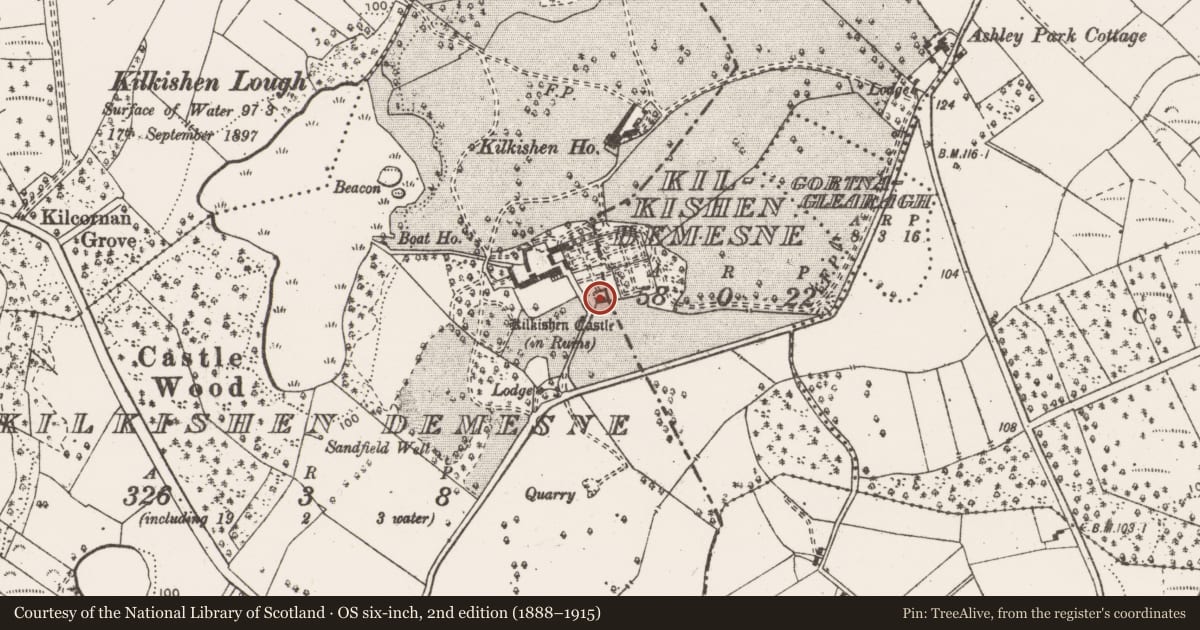 Ordnance Survey six-inch map, 2nd edition (1888–1915) covering the location of Castle - tower house, Kilkishen Demesne, County Clare, with a pin at the register's coordinates