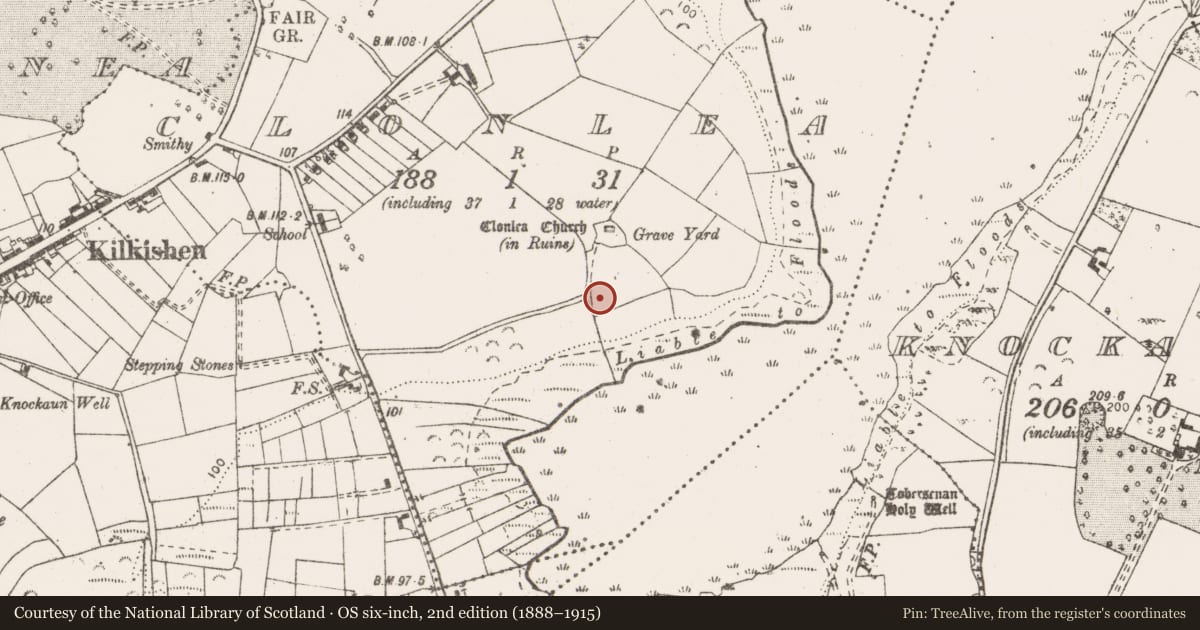 Ordnance Survey six-inch map, 2nd edition (1888–1915) covering the location of Water mill - horizontal-wheeled, Clonlea, County Clare, with a pin at the register's coordinates