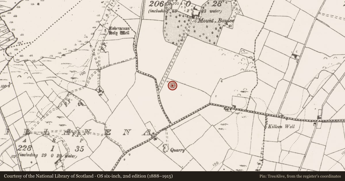 Ordnance Survey six-inch map, 2nd edition (1888–1915) covering the location of Enclosure, Knockatinty, County Clare, with a pin at the register's coordinates