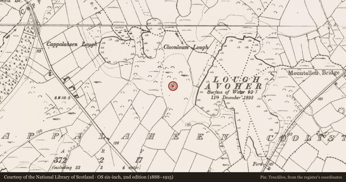 Ordnance Survey six-inch map, 2nd edition (1888–1915) covering the location of Enclosure, Cappalaheen, County Clare, with a pin at the register's coordinates