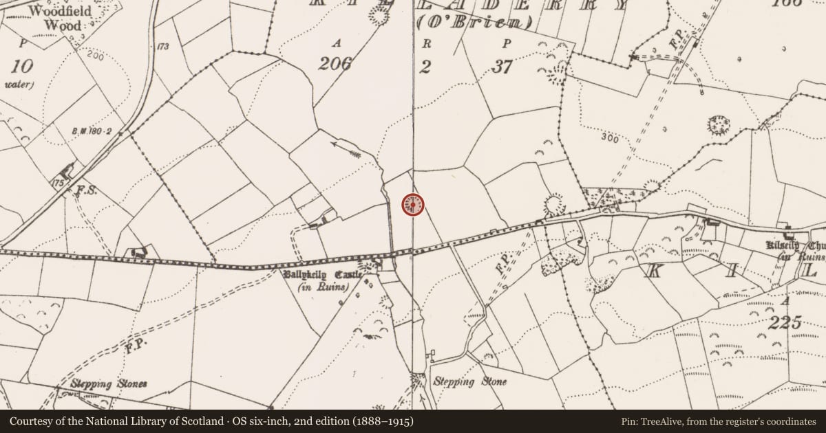 Ordnance Survey six-inch map, 2nd edition (1888–1915) covering the location of Enclosure, Killaderry (O'Brien), County Clare, with a pin at the register's coordinates