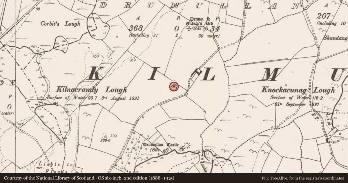 Ordnance Survey six-inch map, 2nd edition (1888–1915) covering the location of Ringfort - unclassified, Drumullan, County Clare, with a pin at the register's coordinates