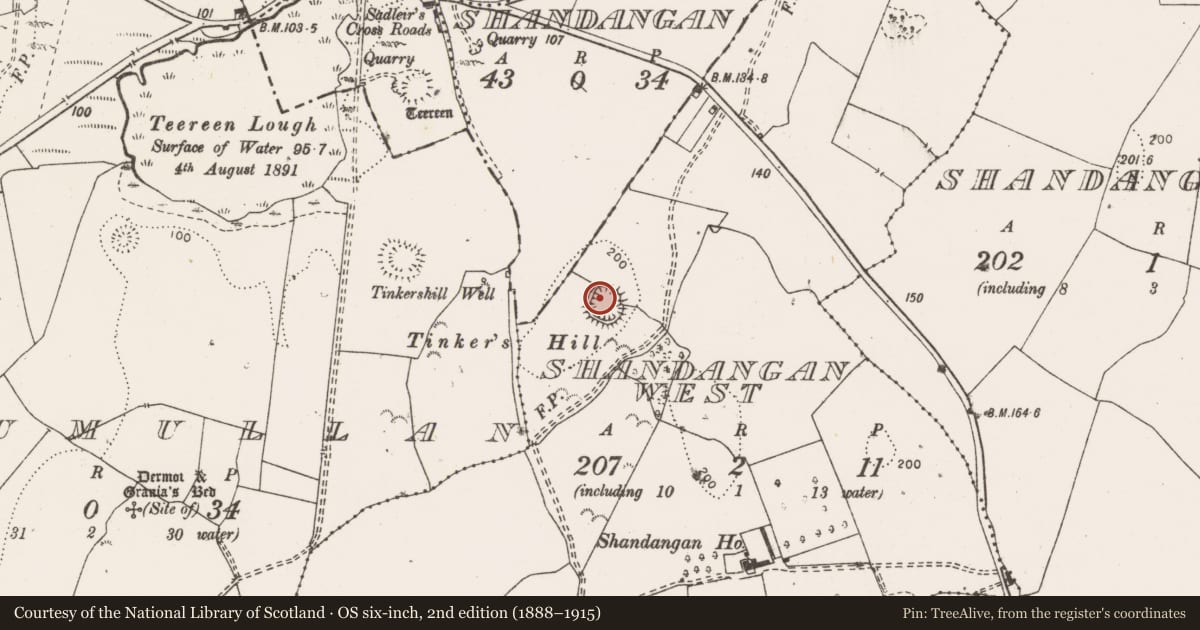Ordnance Survey six-inch map, 2nd edition (1888–1915) covering the location of Ringfort - unclassified, Shandangan West, County Clare, with a pin at the register's coordinates