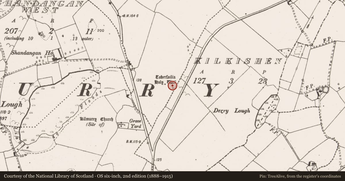 Ordnance Survey six-inch map, 2nd edition (1888–1915) covering the location of Ritual site - holy well, Shandangan East, County Clare, with a pin at the register's coordinates