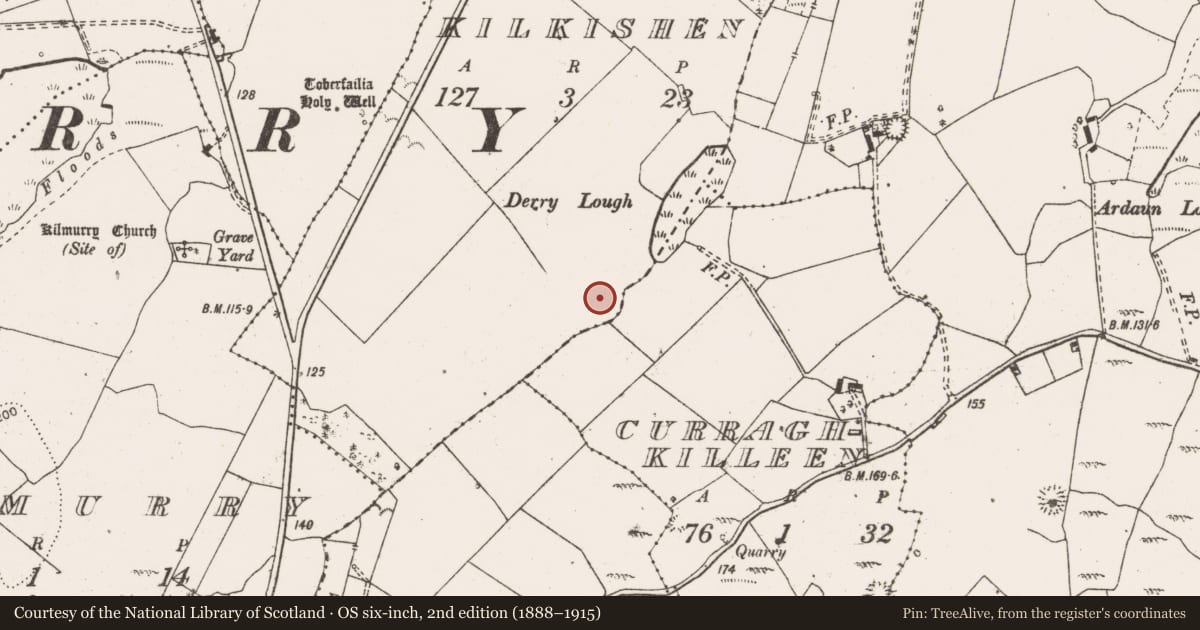 Ordnance Survey six-inch map, 2nd edition (1888–1915) covering the location of Enclosure, Kilkishen, County Clare, with a pin at the register's coordinates