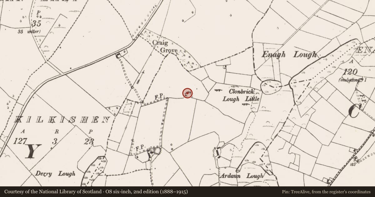 Ordnance Survey six-inch map, 2nd edition (1888–1915) covering the location of Ringfort - unclassified, Ballymulcashel, County Clare, with a pin at the register's coordinates