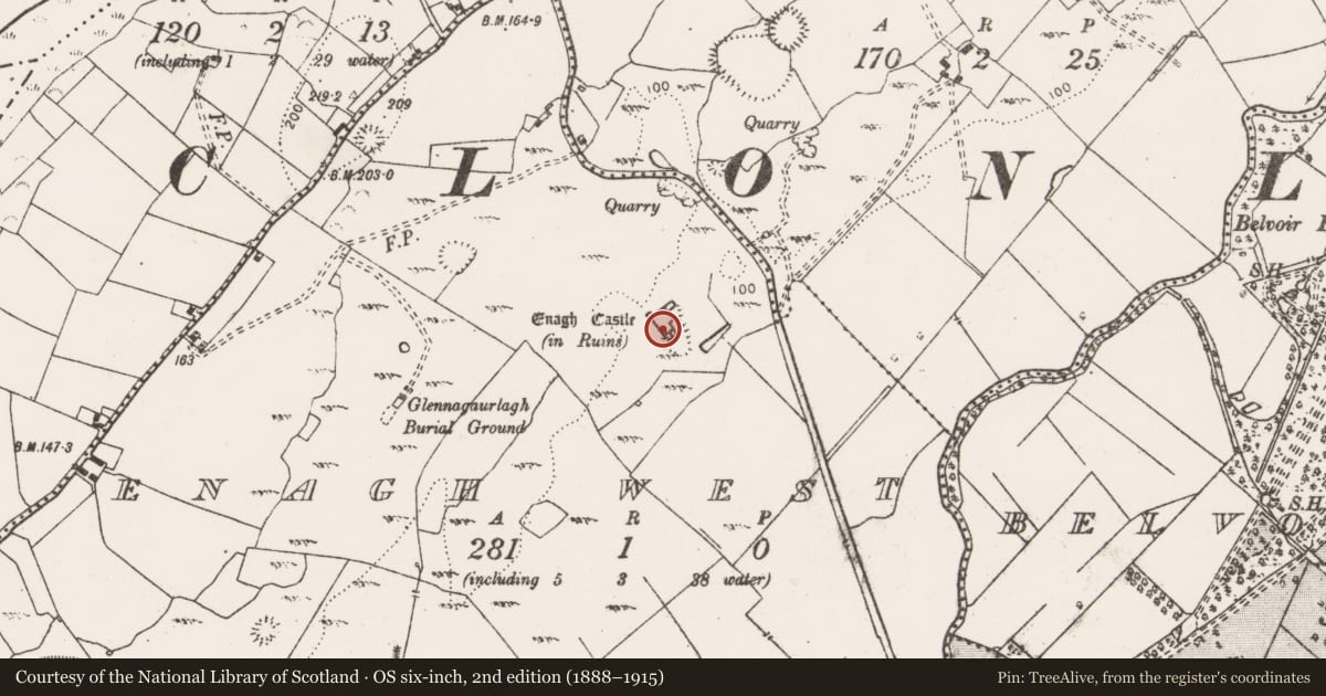 Ordnance Survey six-inch map, 2nd edition (1888–1915) covering the location of Castle - tower house, Enagh West, County Clare, with a pin at the register's coordinates