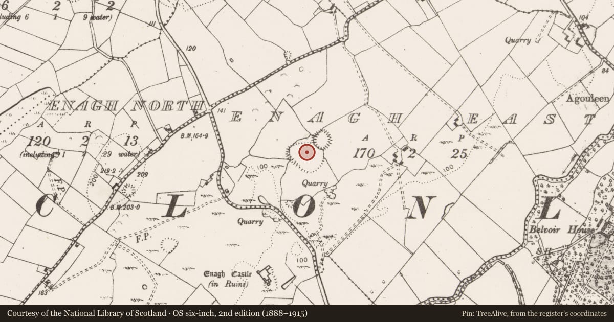 Ordnance Survey six-inch map, 2nd edition (1888–1915) covering the location of Enclosure - large enclosure, Enagh East, County Clare, with a pin at the register's coordinates