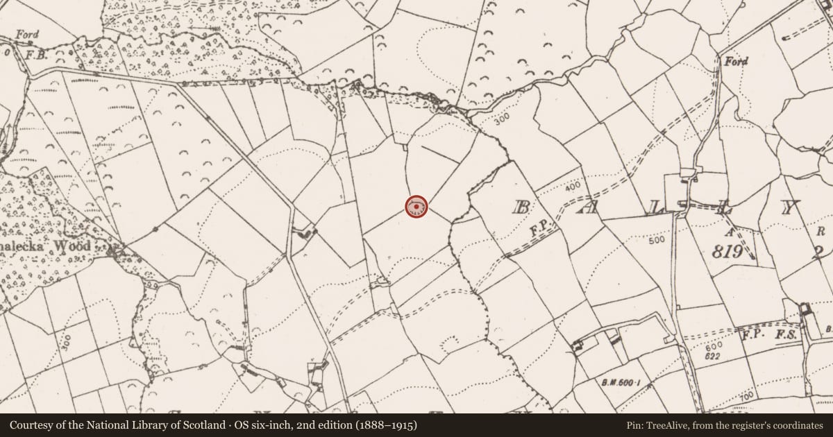 Ordnance Survey six-inch map, 2nd edition (1888–1915) covering the location of Enclosure, Snaty (COOPER), County Clare, with a pin at the register's coordinates