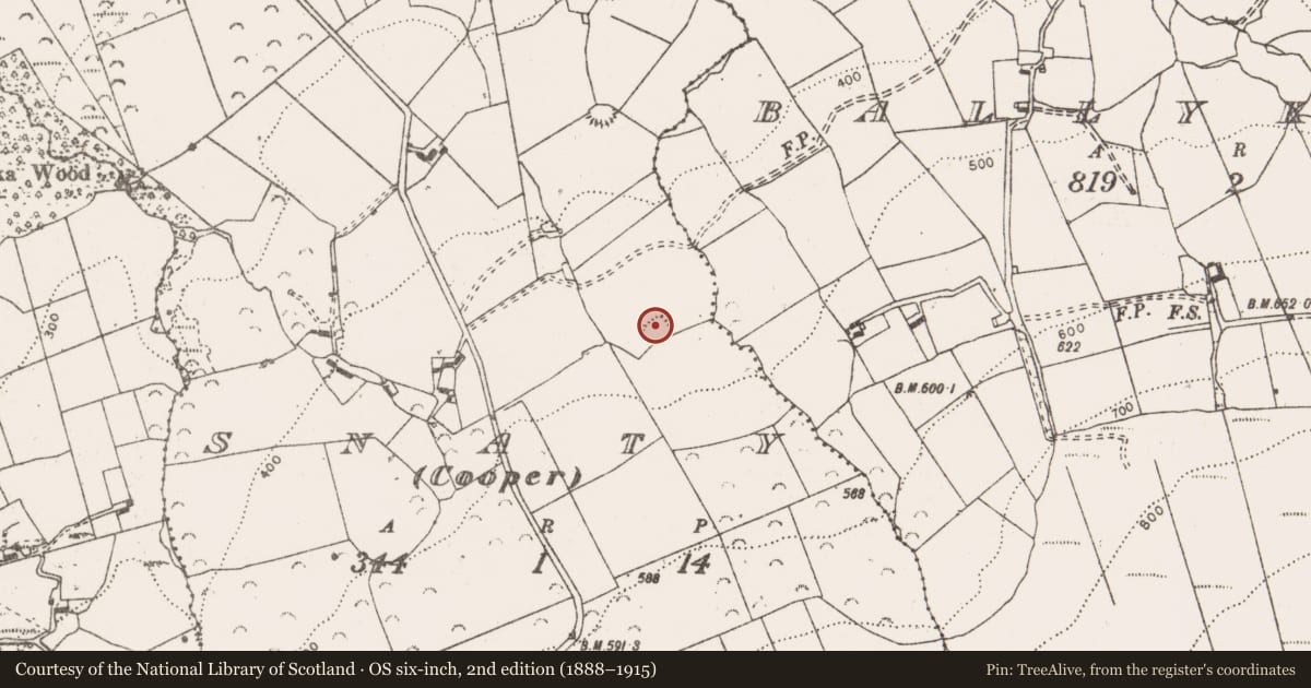 Ordnance Survey six-inch map, 2nd edition (1888–1915) covering the location of Enclosure, Snaty (COOPER), County Clare, with a pin at the register's coordinates