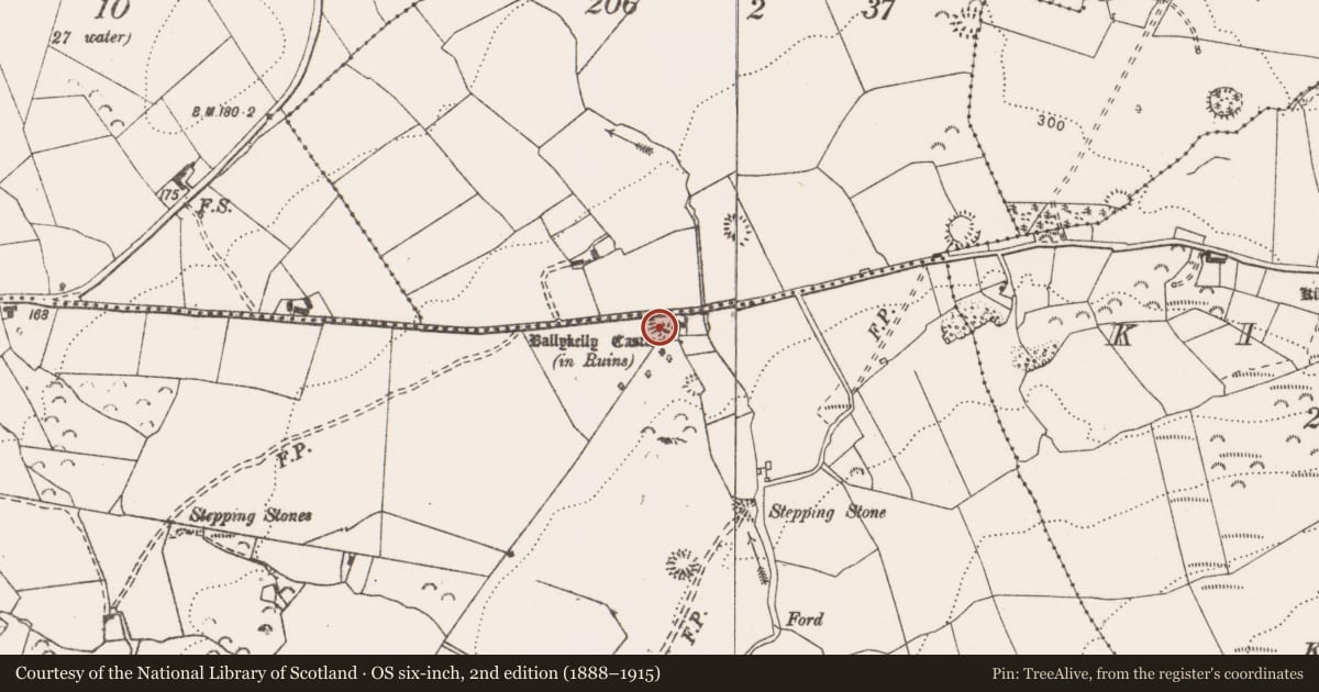 Ordnance Survey six-inch map, 2nd edition (1888–1915) covering the location of Earthwork, Ballykelly, County Clare, with a pin at the register's coordinates