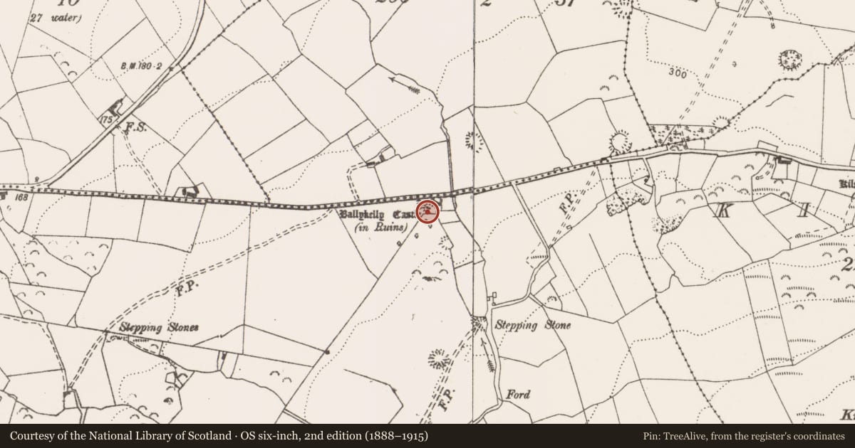 Ordnance Survey six-inch map, 2nd edition (1888–1915) covering the location of Castle - tower house, Ballykelly, County Clare, with a pin at the register's coordinates