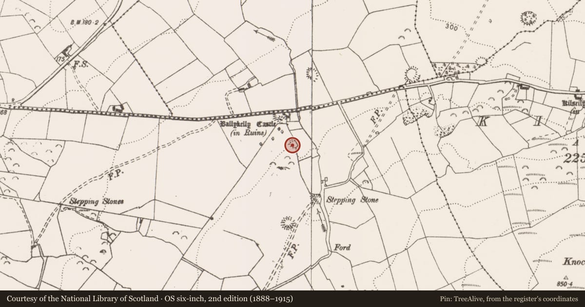 Ordnance Survey six-inch map, 2nd edition (1888–1915) covering the location of Enclosure, Ballykelly, County Clare, with a pin at the register's coordinates