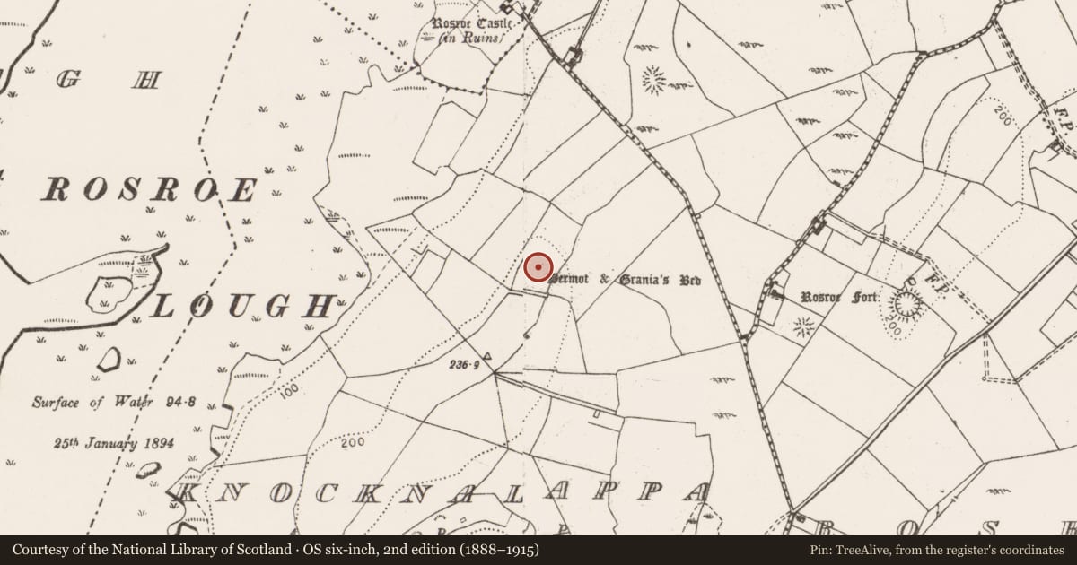 Ordnance Survey six-inch map, 2nd edition (1888–1915) covering the location of Megalithic tomb - wedge tomb, Knocknalappa, County Clare, with a pin at the register's coordinates