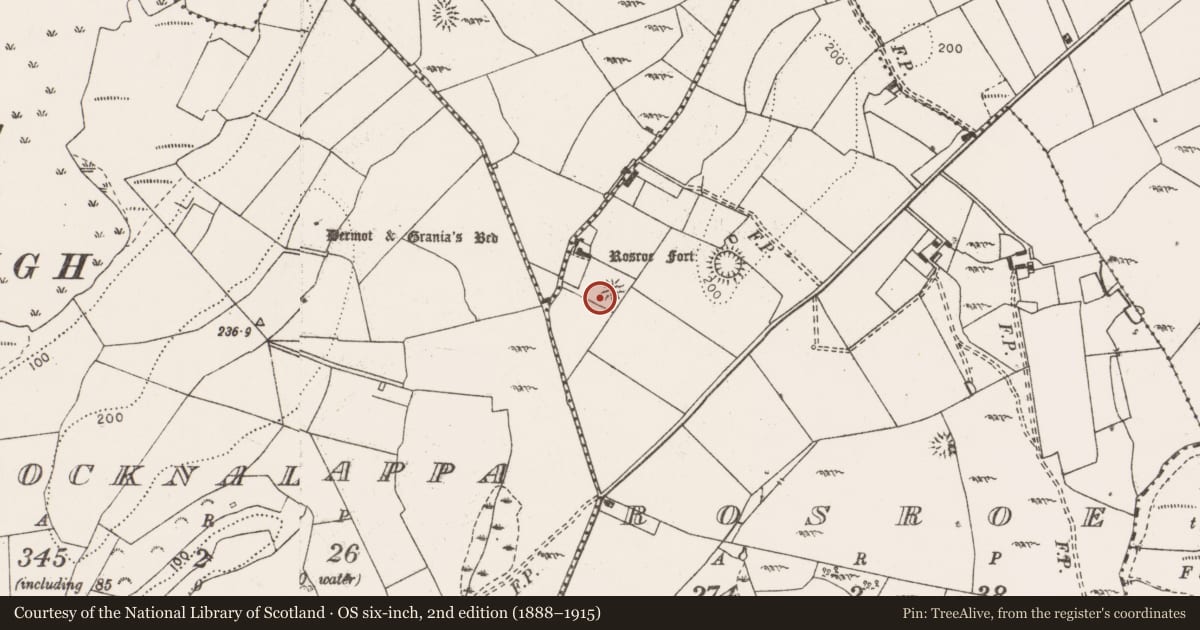 Ordnance Survey six-inch map, 2nd edition (1888–1915) covering the location of Ringfort - unclassified, Rosroe, County Clare, with a pin at the register's coordinates