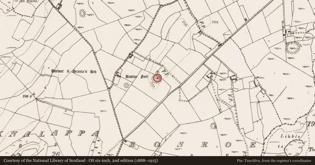 Ordnance Survey six-inch map, 2nd edition (1888–1915) covering the location of Ringfort - cashel, Rosroe, County Clare, with a pin at the register's coordinates