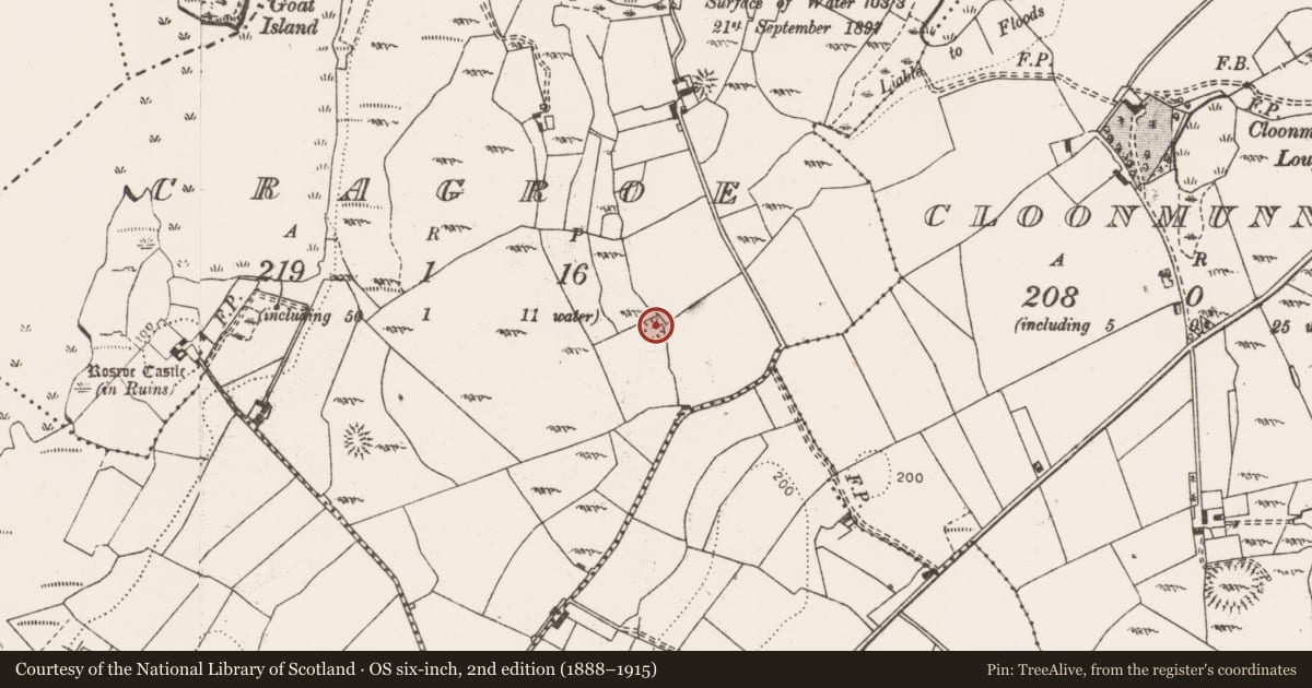 Ordnance Survey six-inch map, 2nd edition (1888–1915) covering the location of Ringfort - cashel, Cragroe, County Clare, with a pin at the register's coordinates
