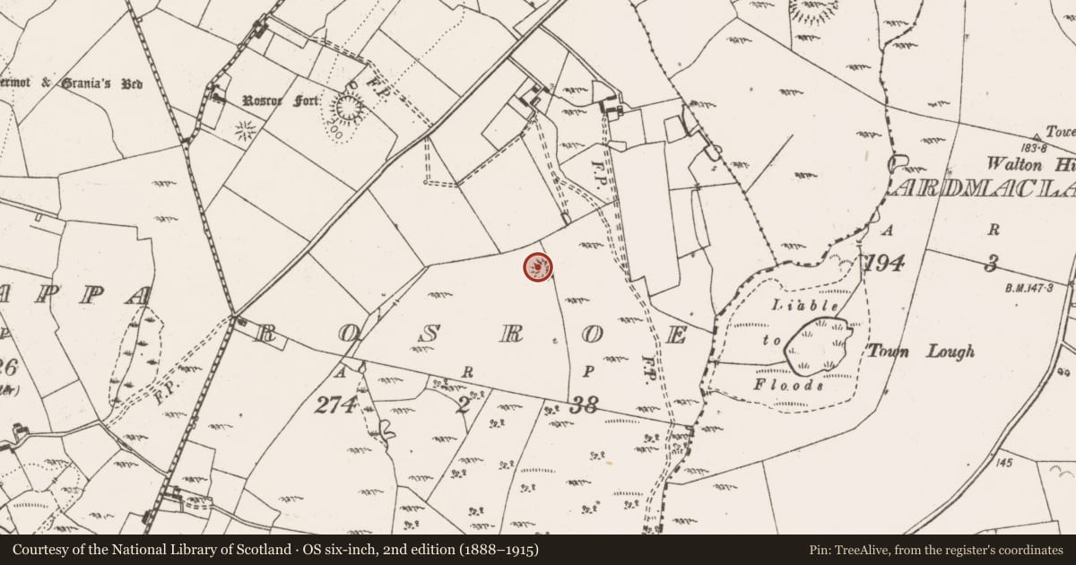 Ordnance Survey six-inch map, 2nd edition (1888–1915) covering the location of Ringfort - cashel, Rosroe, County Clare, with a pin at the register's coordinates