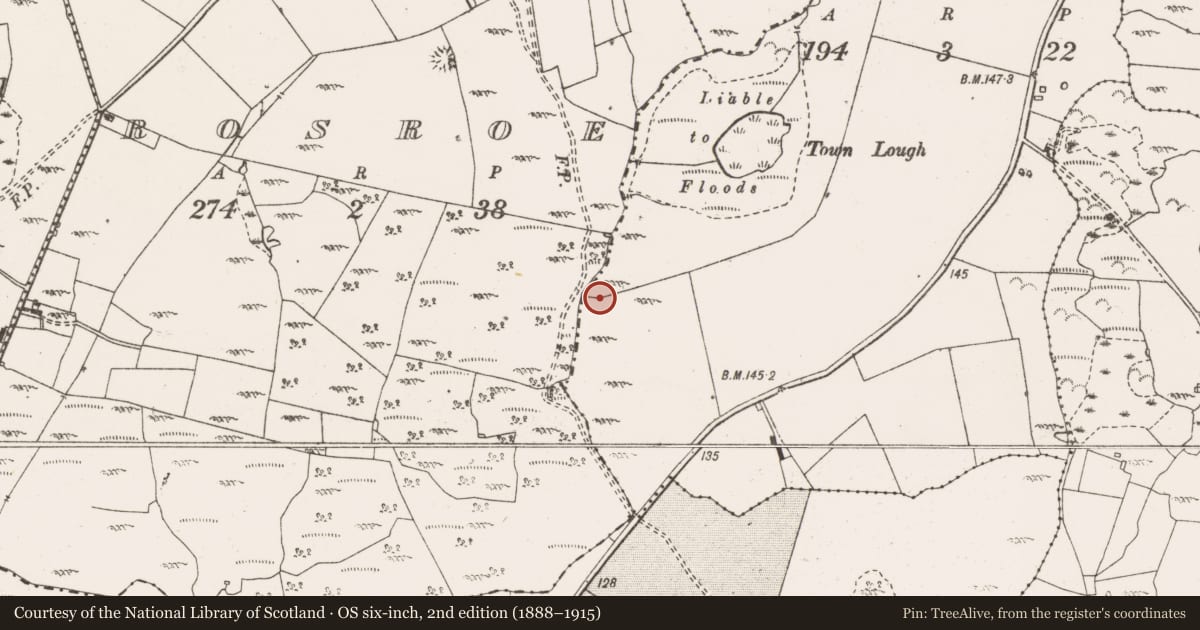 Ordnance Survey six-inch map, 2nd edition (1888–1915) covering the location of Fulacht fia, Ardmaclancy, County Clare, with a pin at the register's coordinates