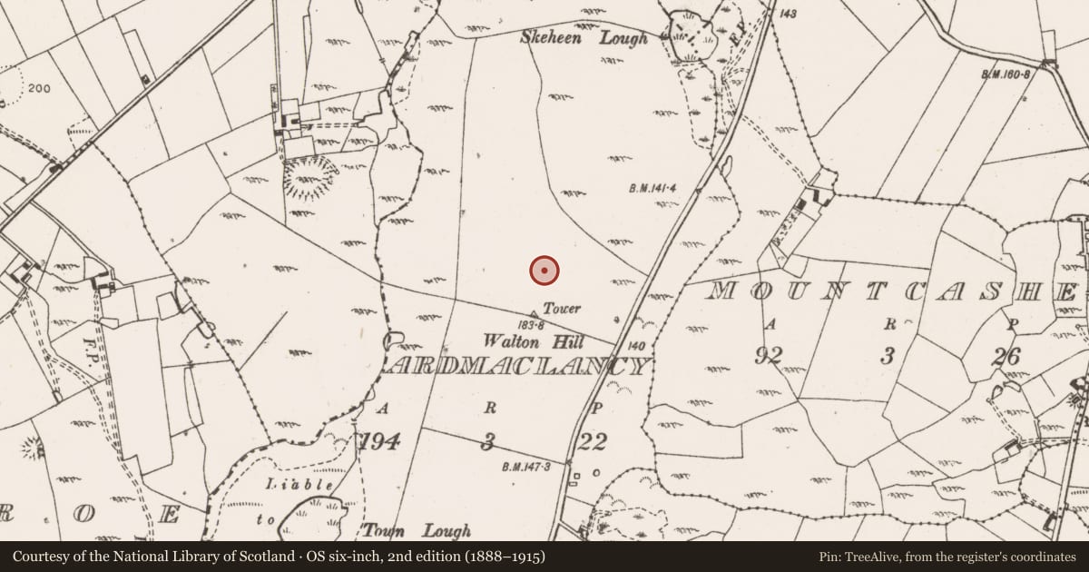 Ordnance Survey six-inch map, 2nd edition (1888–1915) covering the location of Standing stone, Ardmaclancy, County Clare, with a pin at the register's coordinates