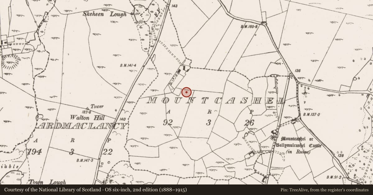 Ordnance Survey six-inch map, 2nd edition (1888–1915) covering the location of Ringfort - cashel, Mountcashel, County Clare, with a pin at the register's coordinates