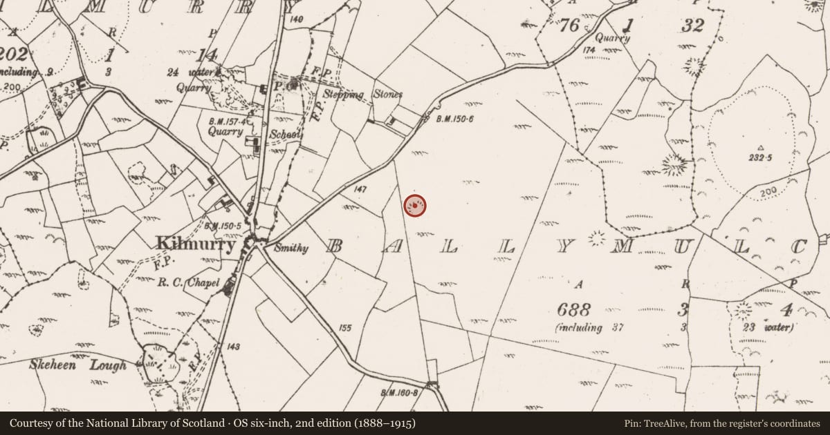 Ordnance Survey six-inch map, 2nd edition (1888–1915) covering the location of Ringfort - cashel, Ballymulcashel, County Clare, with a pin at the register's coordinates