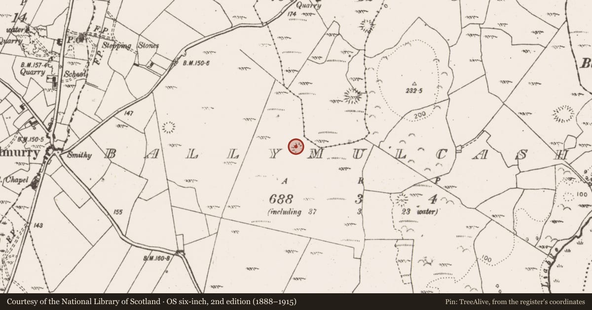 Ordnance Survey six-inch map, 2nd edition (1888–1915) covering the location of Enclosure, Ballymulcashel, County Clare, with a pin at the register's coordinates