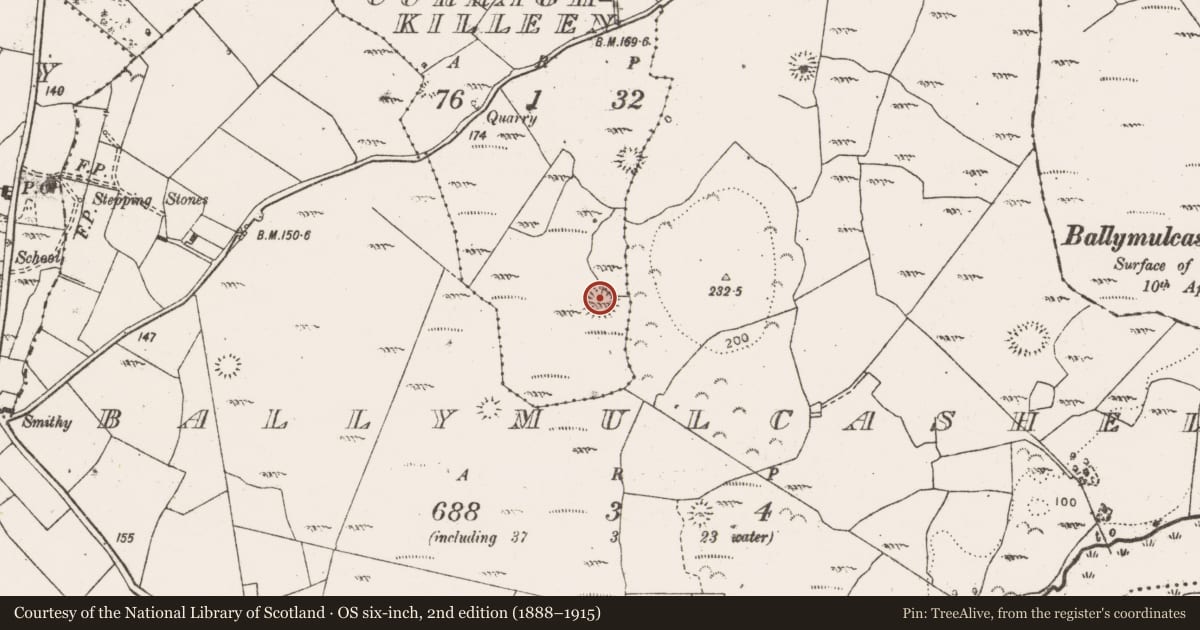 Ordnance Survey six-inch map, 2nd edition (1888–1915) covering the location of Ringfort - cashel, Curraghkilleen, County Clare, with a pin at the register's coordinates