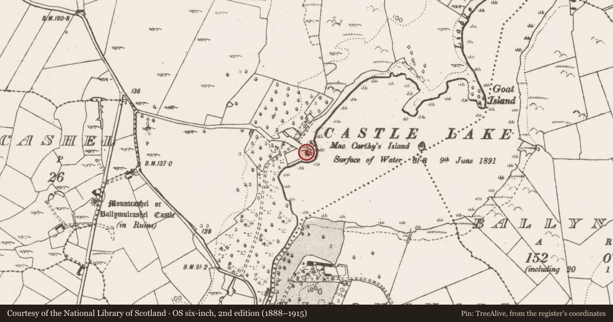 Ordnance Survey six-inch map, 2nd edition (1888–1915) covering the location of House - 16th/17th century, Ballymulcashel, County Clare, with a pin at the register's coordinates