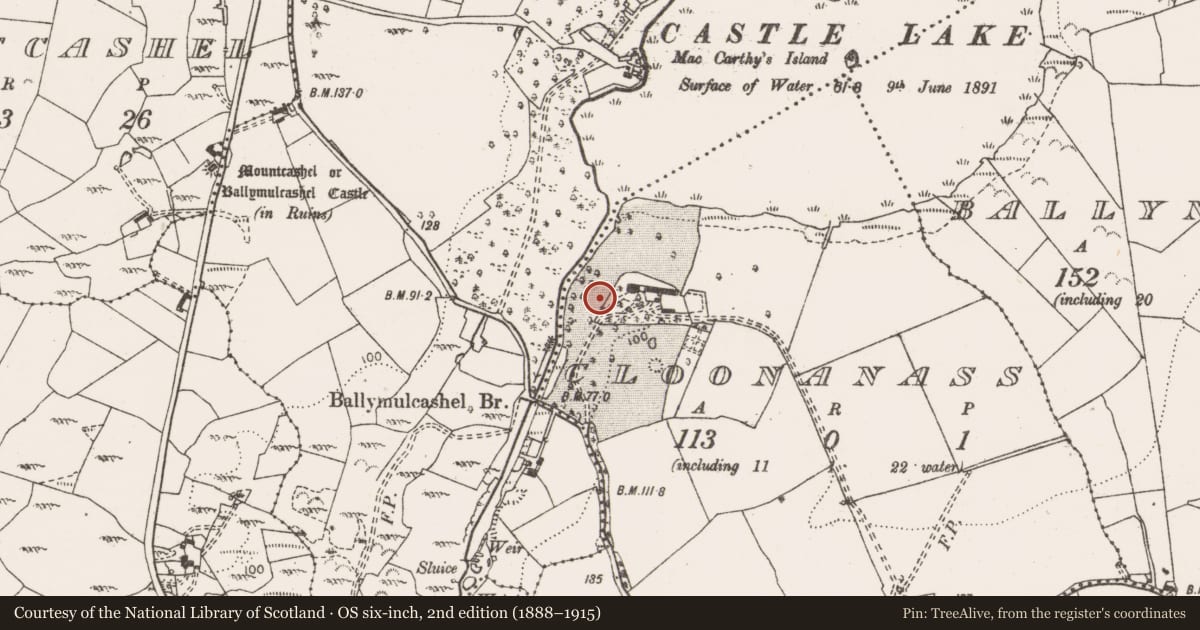 Ordnance Survey six-inch map, 2nd edition (1888–1915) covering the location of Enclosure, Cloonanass, County Clare, with a pin at the register's coordinates