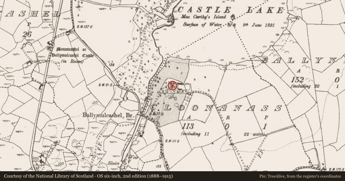 Ordnance Survey six-inch map, 2nd edition (1888–1915) covering the location of Enclosure, Cloonanass, County Clare, with a pin at the register's coordinates