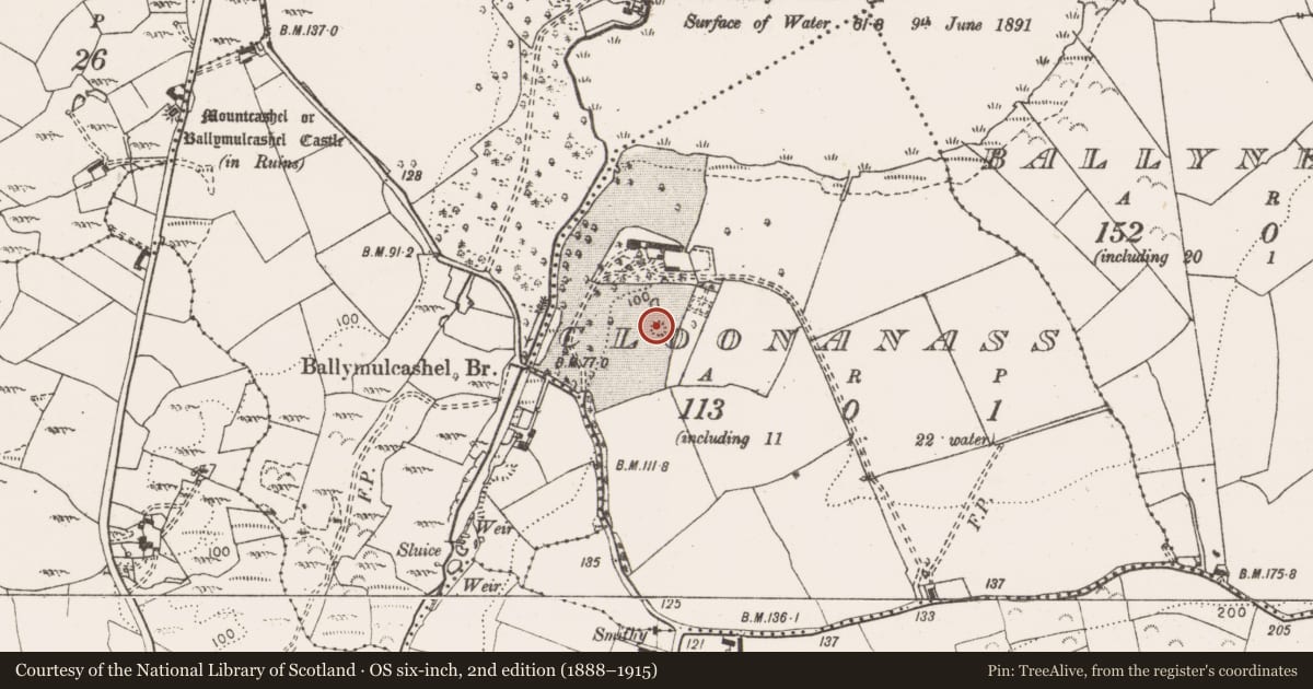 Ordnance Survey six-inch map, 2nd edition (1888–1915) covering the location of Enclosure, Cloonanass, County Clare, with a pin at the register's coordinates